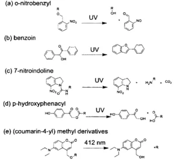 Figure  2.  Chemical  structures  o f  some  typical  photocaging  molecules  and  related  photoreactions:  (a) o-nitrobenzyl,  (b) benzoin,  (c) 7-nitroindoline,  (d)  p-hydroxyphenacyl  and (e) (coumarin-4-yl) methyl derivatives.