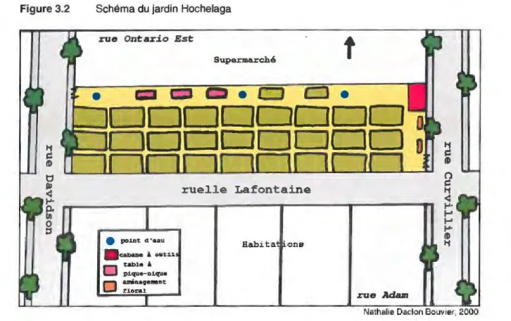 Figure 3.2  Schéma du jardin Hochelaga 