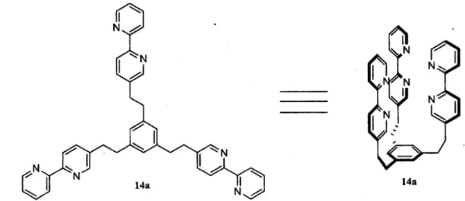 Figure 1.5. HC-BPy, structure 2D (gauche) et préorganisation des sites de reconnaissances (droite)