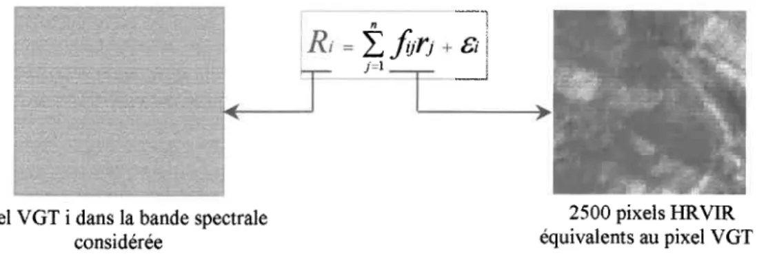 Figure 2.1 : Schématisation du modèle linéaire de composition des réflectances