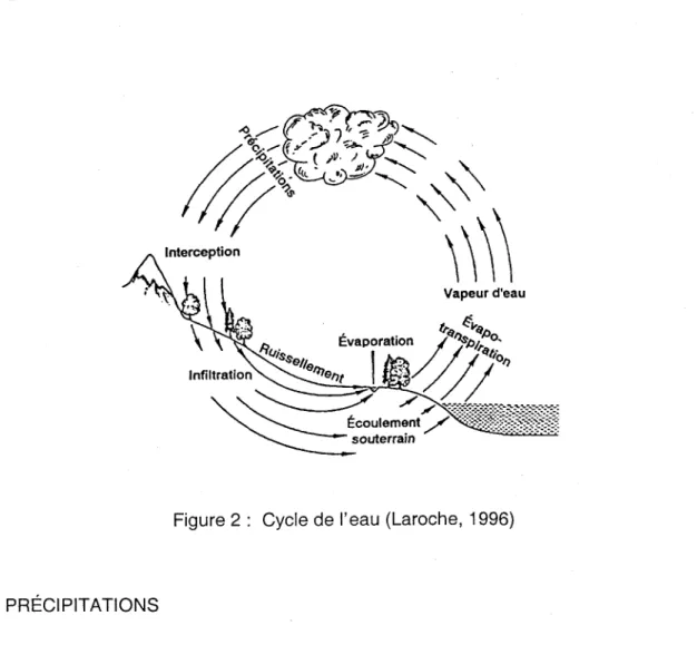Figure  2:  Cycle  de I'eau (Laroche,  1996)