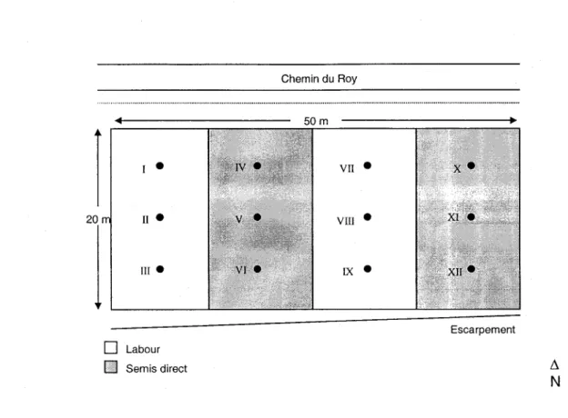 Figure  5 : Schéma  de la parcelle  expérimentale  avec localisation  des stations  de bougies  à quatre  profondeurs