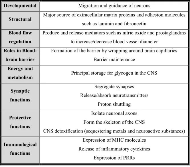 Table 1. Roles of astrocytes in the CNS. Astrocytes possess numerous functions and  roles in maintaining CNS homeostasis
