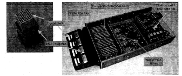 Figure 2.11 Picture of the detector and the ClearPET module [ZlEMONS and ON BEHALF 