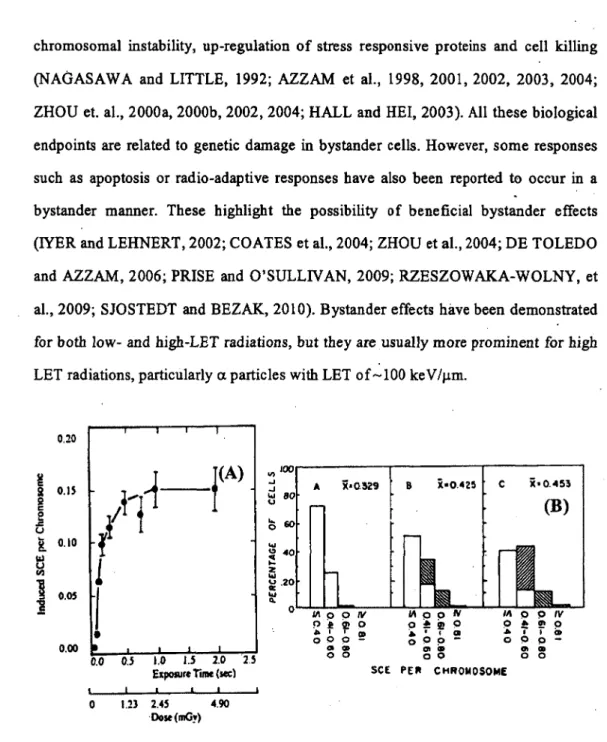 Figure 10.  Induction of sister chromatid exchanges (SCE) by low doses of  a.  particles