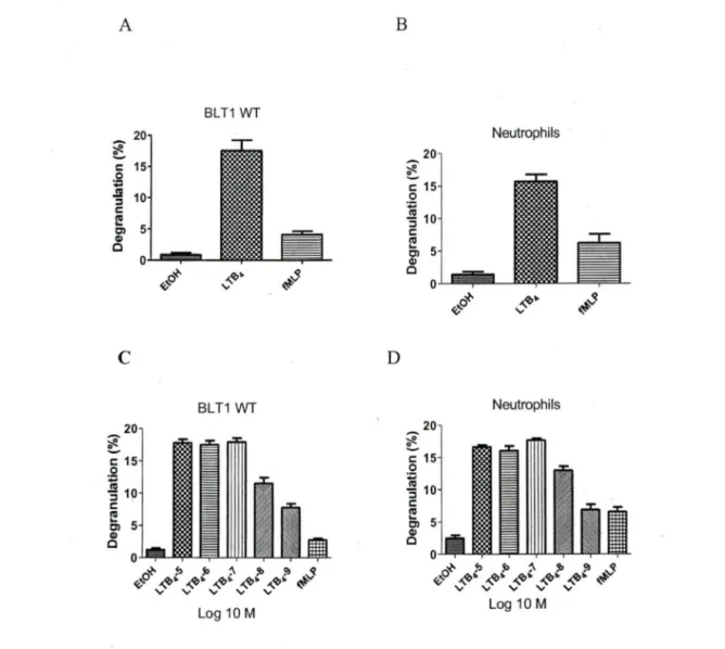 Fig 1:  PLBB-BLTl  (Wf)  and Neutrophil degranulation. 