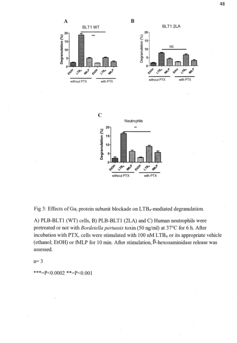 Fig 3:  Effects of  Gai  protein subunit blockade on LTB 4 -mediated degranulation. 