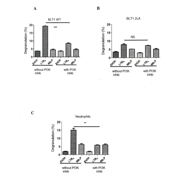 Fig 4.  Effects of PBK inhibition on LTB 4 -mediated degranulation. 
