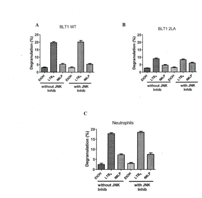 FIG 8: Effects of JNK kinase inhibition on LTB 4 -mediated degranulation of PLB-BLTl  (wt), PLB-BLTl  (2LA) cells and human neutrophils 