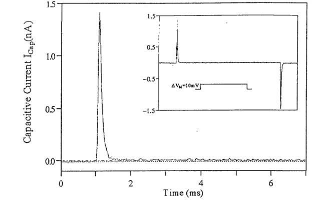 Figure  2-4  Expanded  capacitive  transient  evoked  by  a  lOmV depolarizing puise. The dotted line represents the current at the beginning of the puise and the dash-dot line is the level of the leak current flowing through the cell input résistance.