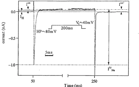 Figure 2-5 Evaluation of I\, and 1"^,.  Peak I\, was iiieasured directly as the current between the peak and the steady state levai of In,