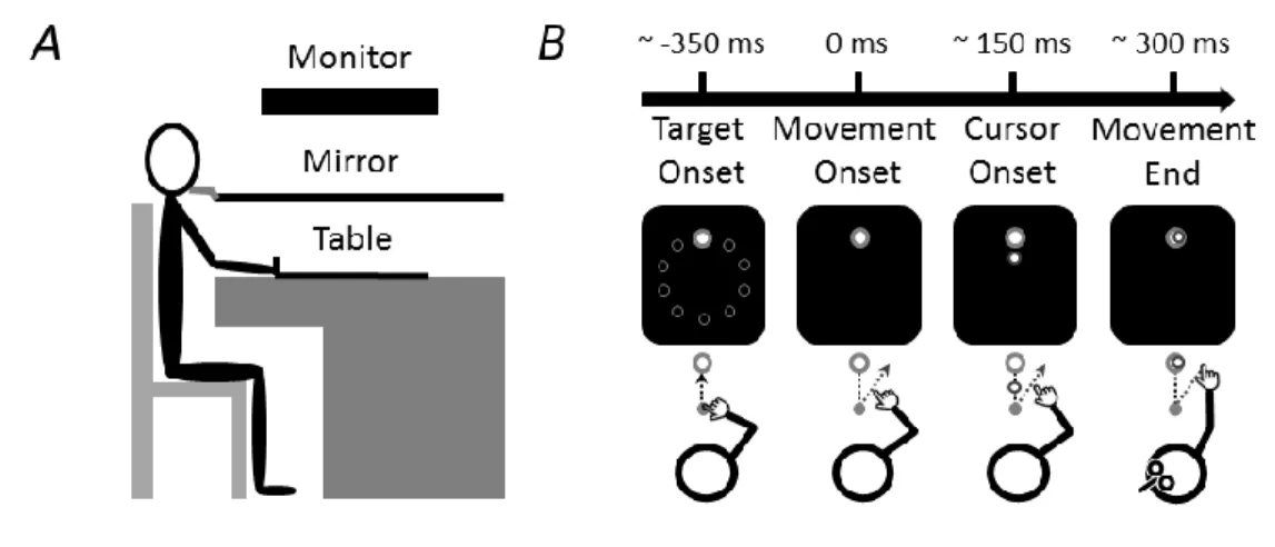 Figure 1.  Schematic representation of the apparatus and experimental task. (A) Side  view of the apparatus