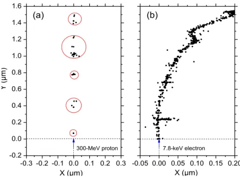 Figure 1.7: Simulated track histories (at ~10 -13  s, projected into the  XY plane of figure) of a 300- 300-MeV proton (panel a) and a 7.8-keV  -electron (panel b) incident on liquid water at 25 °C