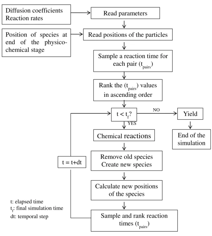 Figure 2.3 Algorithm of the IRT simulation program 