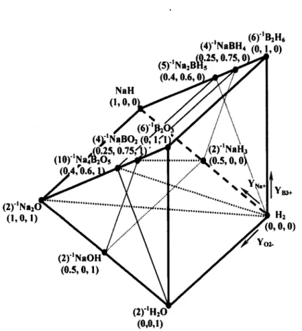 Figure 1.8  Isothermal,  isobaric, elemental, equivalent, quaternary composition triangular- triangular-prism for the Na + ,B 3+ ,H + /H&#34;,0 2 &#34; system defined by the ( YN 3 +, YB3+,  Y02-)  EE1F coordinate 