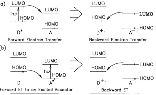 Figure 1.3.1.3. Simplified View of Forward and Backward Electron Transfers Involving (a): an Excited Donor, and
