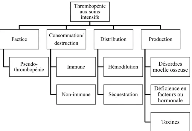 Figure 1 – Les mécanismes de la thrombopénie aux soins intensifs 