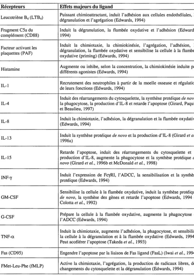 Tableau 1 : Description des différents récepteurs de surface et des ligands des neutrophiles  Récepteurs  Effets majeurs du ligand 