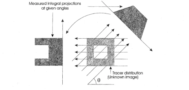 Figure  1.  Simple  case  of  radiotracer  distribution  and  two  idealized  continuous  projections at selected angles