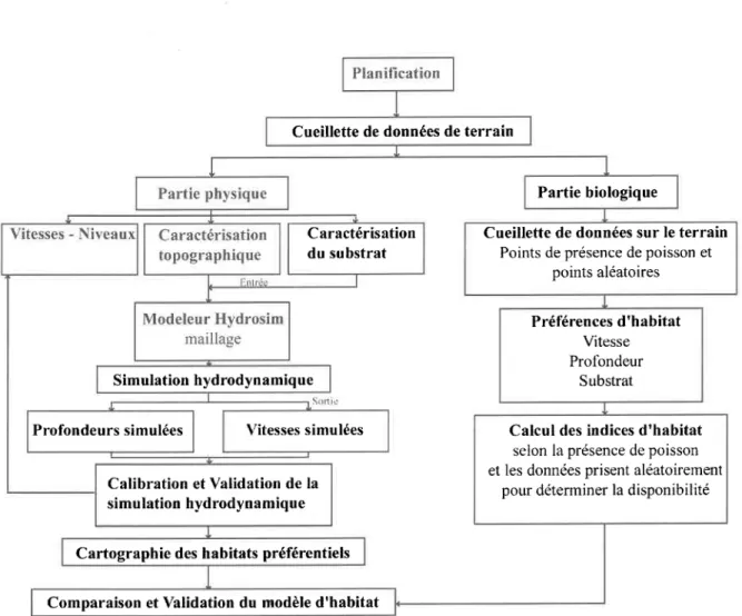 Figure  2.4 zDiagramme représentant la méthode classique de modélisation des habitats.