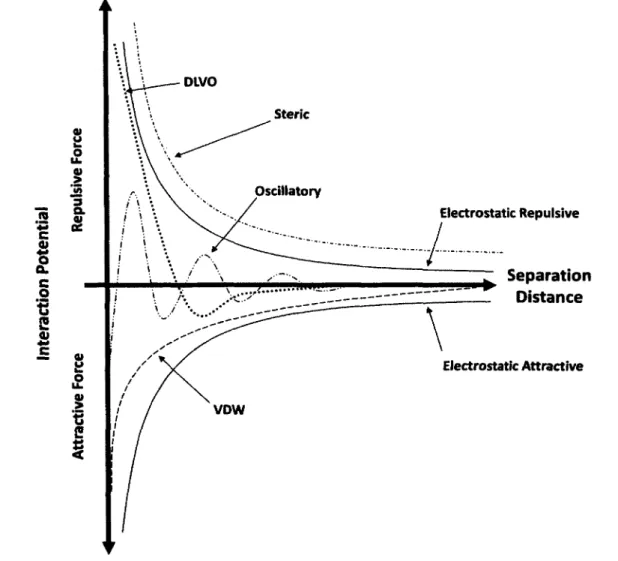 Figure  2.6:  Interaction  potentials  of  surface  and  intermolecular  forces  in  biological  systems
