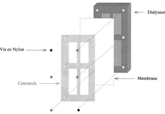 Figure 3.1 :  Représentation  schématique  montrant  le montage  des dialyseurs.