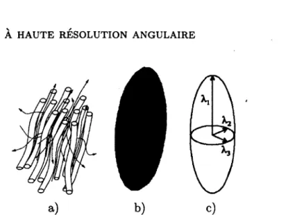 figure 1.1 -  Représentation  du  tenseur  de  diffusion,  a)  Mouvement  brownien  des  molécules d'eau dans  un faisceau  de fibres  de matière  blanche  (image de  [POUPON  1909])