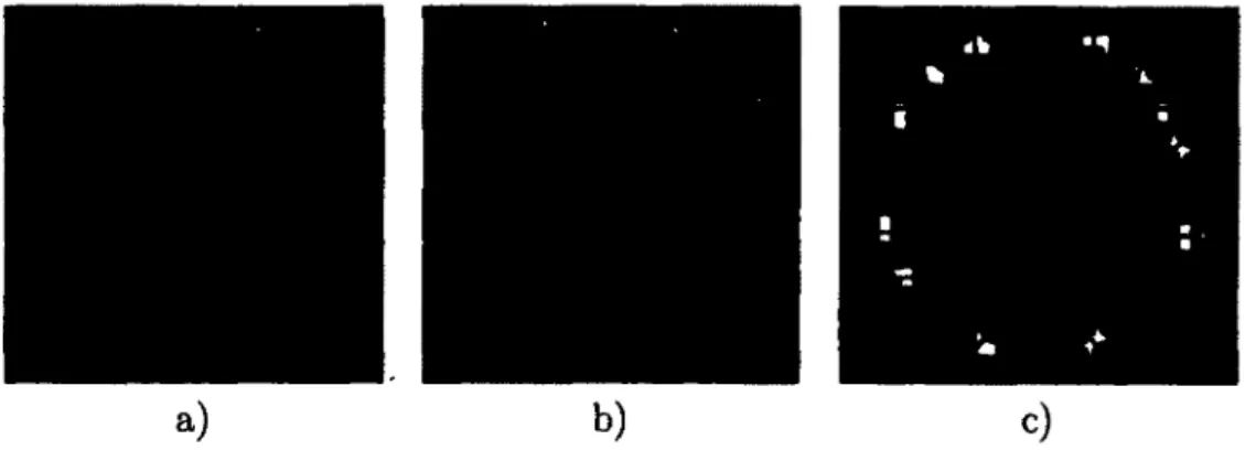 figure  2.1 - Jeu de données  FiberCup  [FILLARD et  al.  2011 ; POUPON et  al.  20i)&gt;] 