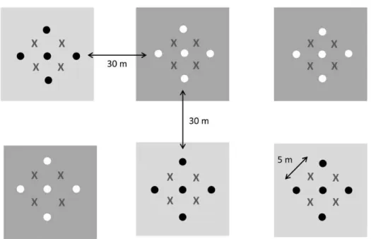 Figure 10.2 – Dispositif en blocs aléatoires complets.  Les zones traitées sont représentées par des carrés  clairs  et  les  zones  non-traitées  par  des  carrés  foncés