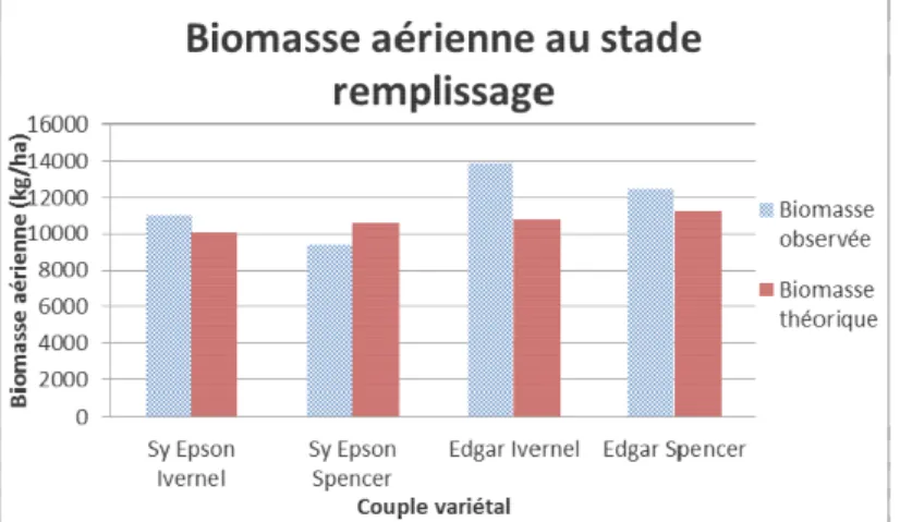 Figure  10.1  –  Biomasse  aérienne  observée  au  stade  remplissage  des  cultures  (fumure  40-80  uN/ha,  semis  150:50  gr/m²)