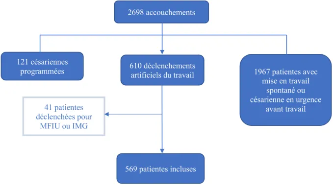 Figure 4 : Flow-chart de la population de l'année 2019 