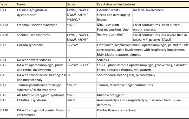Table 2. Distal arthrogryposis classification 