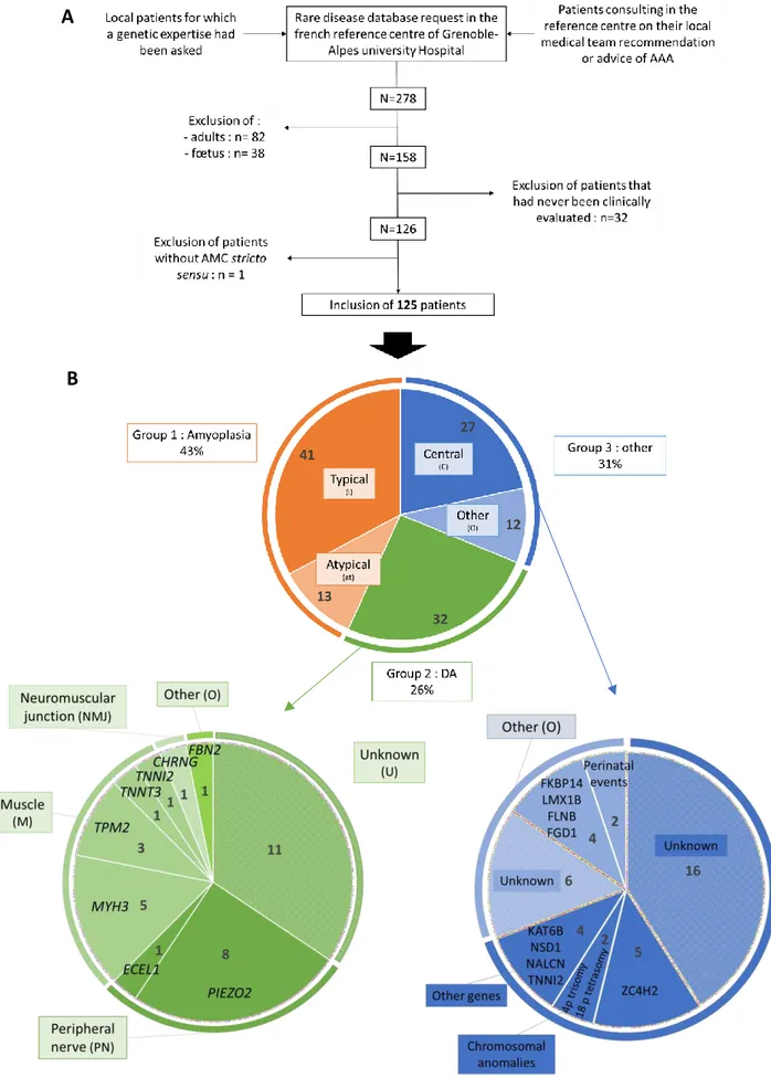 Figure 4. A. Flowchart of the study and B. Cohort distribution of the three groups, and detailed  definitive diagnoses in group 2 (green disk) and 3 (blue disk)