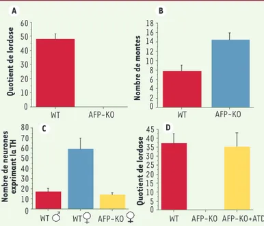 Figure 2. Histogramme illustrant les effets d’une invalidation du gène de l’AFP (AFP- (AFP-KO) sur le comportement reproducteur et l’expression de neurones à activité tyrosine  hydroxylase (TH) dans l’aire préoptique périventriculaire