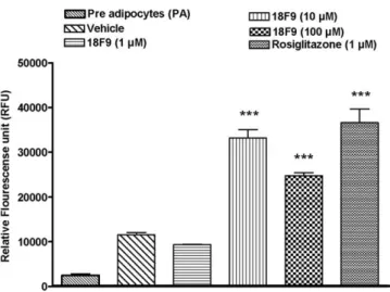 Fig. 1. Effect of 18F9 on adipogenesis in human subcutaneous preadipose cells. Confluent human subcutaneous fibroblasts were treated with 18F9 (1, 10, and 100 μmol/L) or rosiglitazone (1 μmol/L) for 6 days