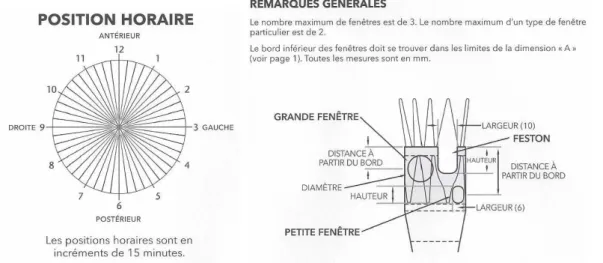 Figure 6 : schéma du module proximal fénêtré 