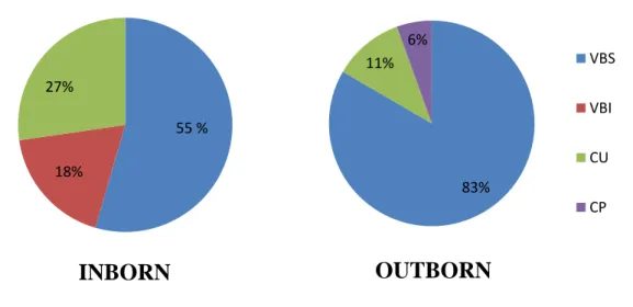 Figure 4 : Répartition des modes d’accouchements 