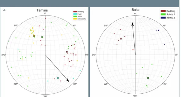 Figure 5 : Representation of the structural data within a 3D surface model (with imagery) of Tamins