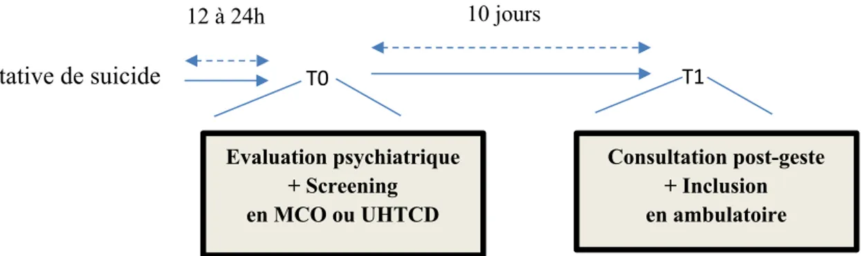 Figure 1 - Schéma d’étude  