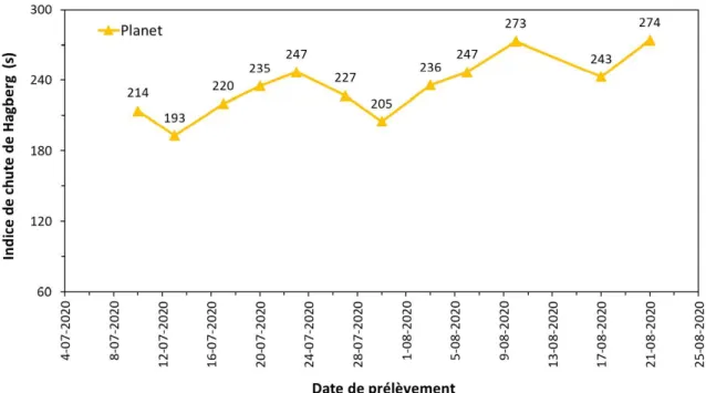 Figure 2.4    a variété Planet 