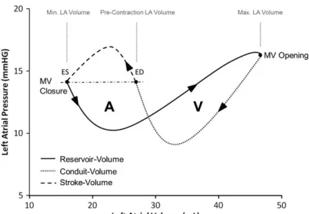 Figure 6: Diagramme pression-volume de l’oreillette gauche. 21  Evolution instantanée du volume et de  la pression atriale gauche au cours du temps