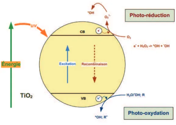 Figure 2.1 : Schéma des réactions de photocatalyse avec TiO 2    Tirée de [Zaviska et al., 2009] 