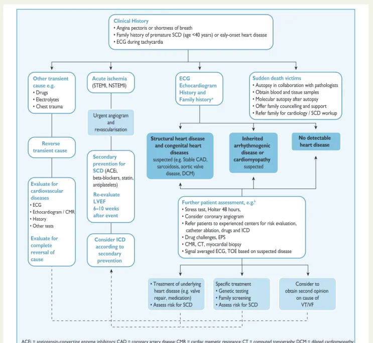 Figure 1 illustrates the proposed diagnostic workflow for patients who survived an aborted cardiac arrest, while the management of cardiac arrest in the setting of specific conditions is described in sections 5 – 12