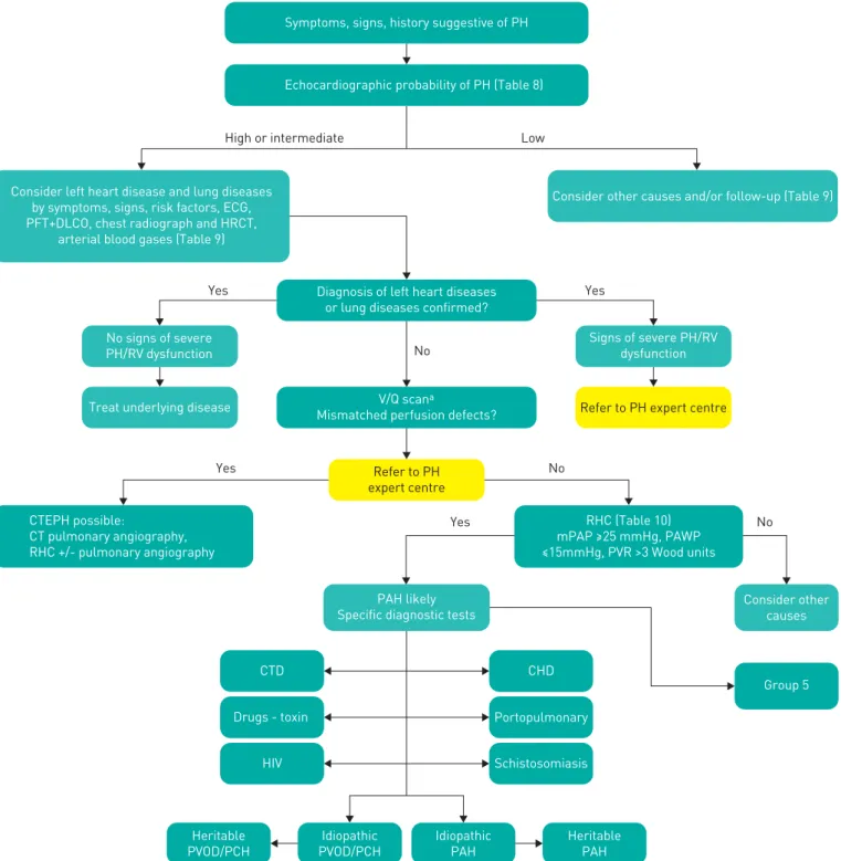 Figure 1 Diagnostic algorithm. CHD: congenital heart diseases; CT: computed tomography; CTD: connective tissue disease; CTEPH: chronic thromboembolic pulmonary hypertension; DLCO: carbon monoxide diffusing capacity; ECG: electrocardiogram; HIV: Human immun