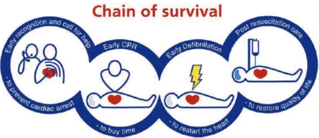Figure 7 : Chaîne de survie, ERC 2010 48 