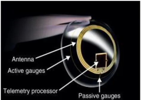 Figure  3 :  Schéma  des  composants  de  la  lentille  du  dispositif  Sensimed  Triggerfish®