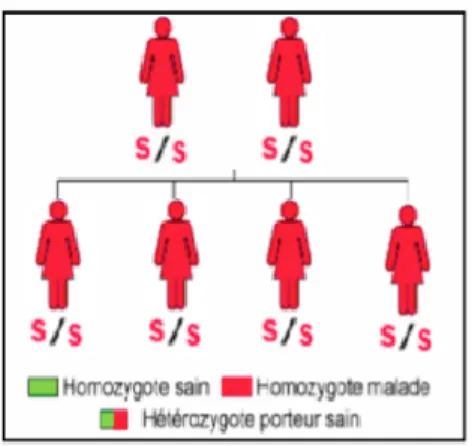 Figure 9 - Deux parents malades 