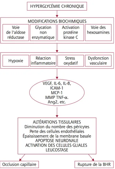 Figure 3. Mécanismes physiopathologiques de l’œdème maculaire (Massin et Pournaras,  rapport de la SFO 2016