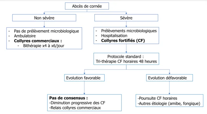 Figure  1.  Arbre décisionnel utilisé pour la prise en charge thérapeutique d'un AC selon sa  sévérité  clinique