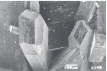 Figure 6. Infrared spectra of stilbite and chabazite from Bertrix.